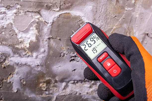 Best Mold Cleaning Services  in Ravensworth, VA