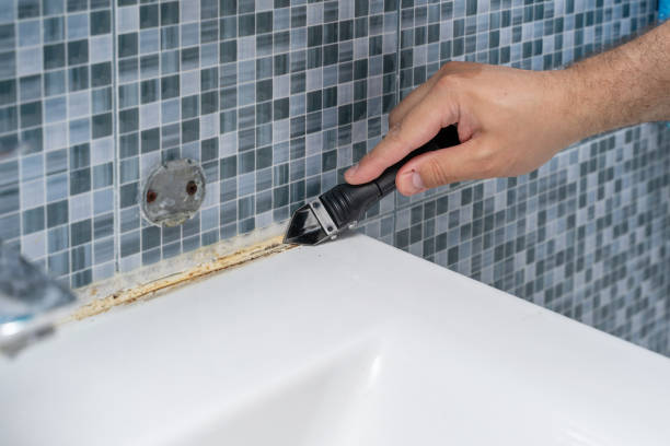 Best Best Mold Removal Companies  in Ravensworth, VA